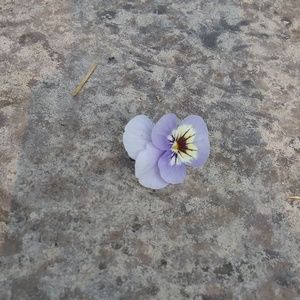 Meet your Posher, Aeon